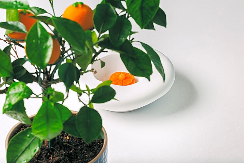 Bela Vista Hotel & Spa - Relais & Chateaux