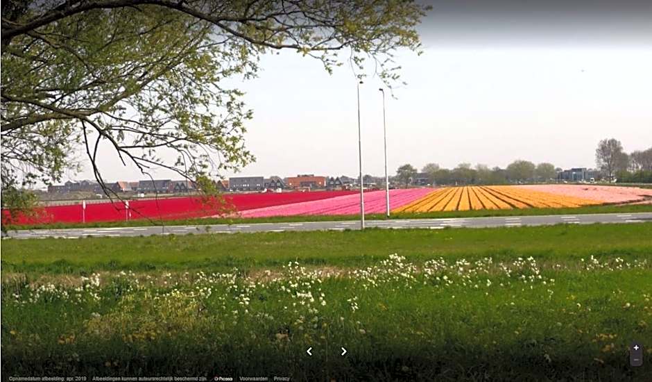 Rekerlanden 119 de Amandelbloesem