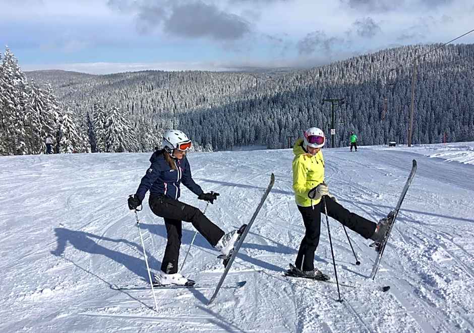 Bed & Breakfast Reaktiv