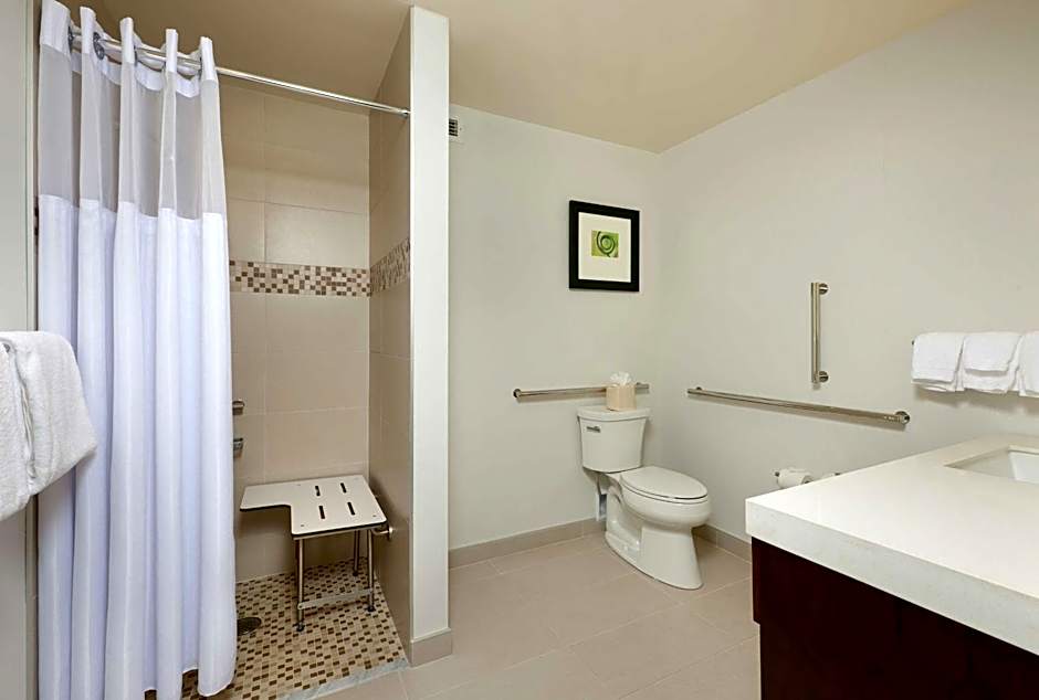 Hilton Garden Inn Pittsburgh Downtown