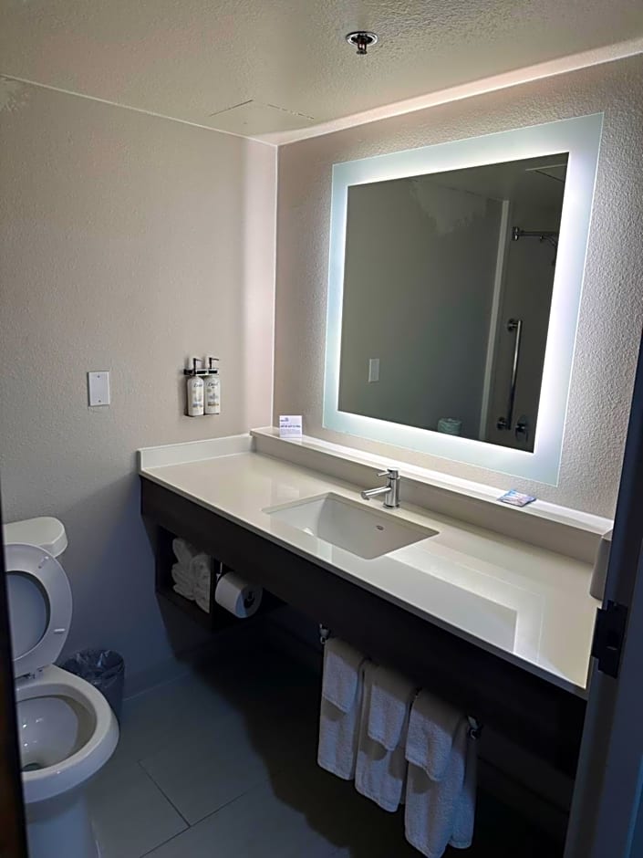 Holiday Inn Express Hotel and Suites Mesquite By IHG
