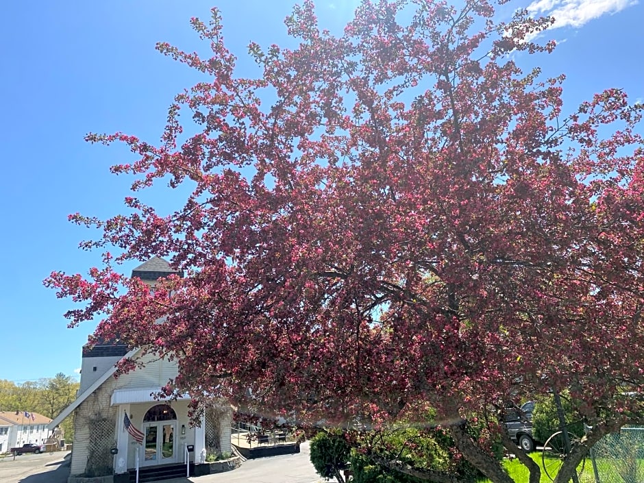 The Black Mountain Inn