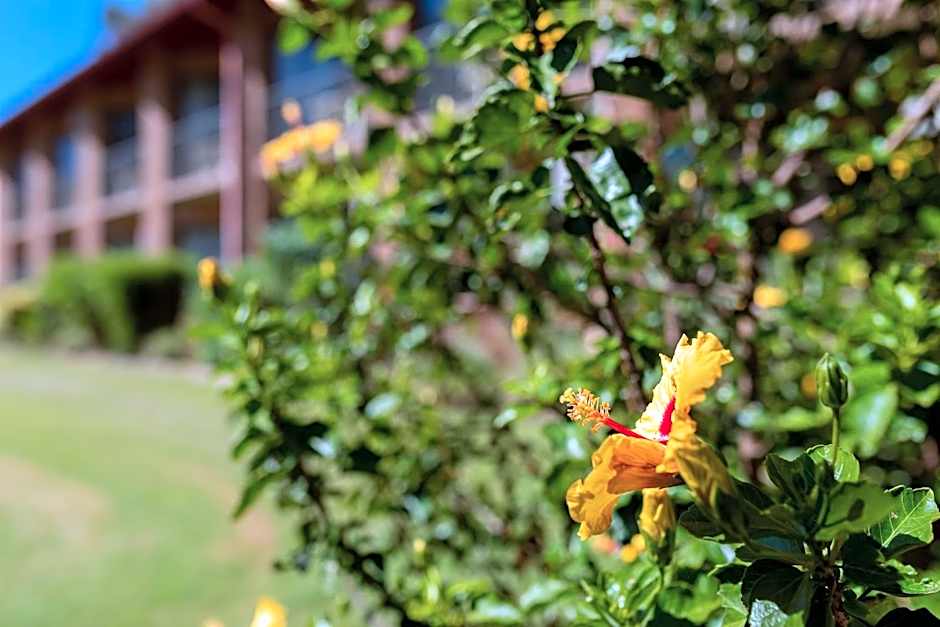 Charbonnier Motor Inn