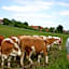 Beim Huber in Linden