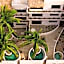 Casa Leah Puerto Escondido - Luxurious Seaside Retreat in Zicatela - 2 Outdoor Pools - Steps to The Beach - 10
