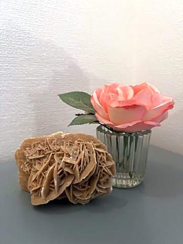 Chambres d'hôtes La Rose Des Sables