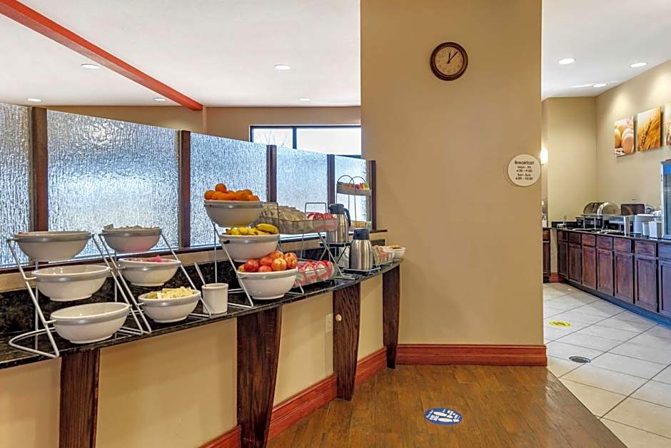 Comfort Suites Airport South