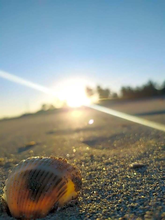 Apartamento lindo, completo e de frente para o mar