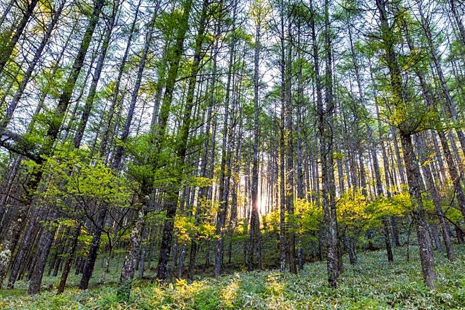OYO 236 Penginapan Rumah Hijau