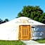 Wacky Stays - unique farm-stay glamping rentals, FREE animal feeding tours