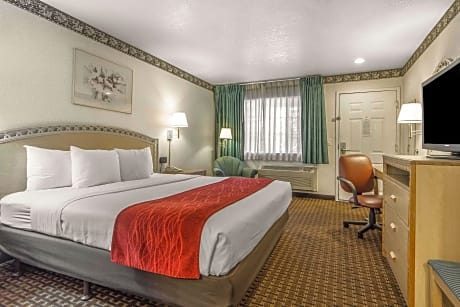 1 King Bed, Business Room, Nonsmoking, Accessible