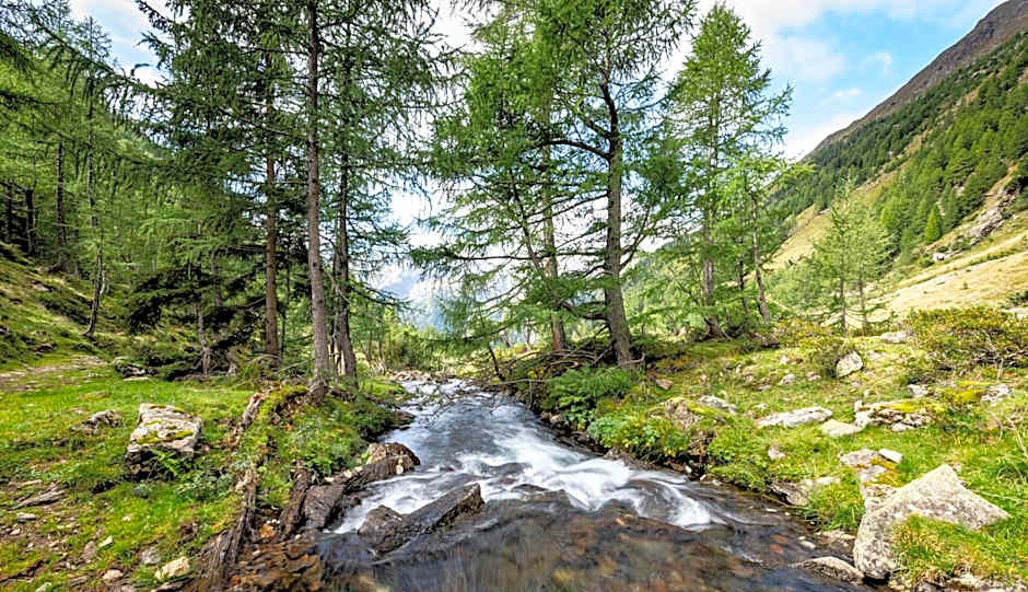 Landhotel Postgut - Tradition seit 1549