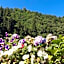 Ridos Thermal Hotel & Spa