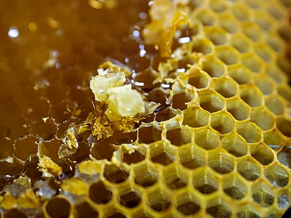 Greet Hotel Marseille Provence Aeroport