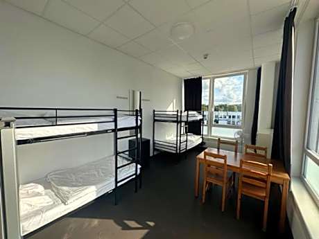 Bed in 4-Bed Mixed Dormitory Room with Shared Bathroom on the floor