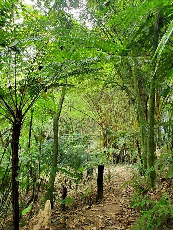 Hospedaje Totalmanik