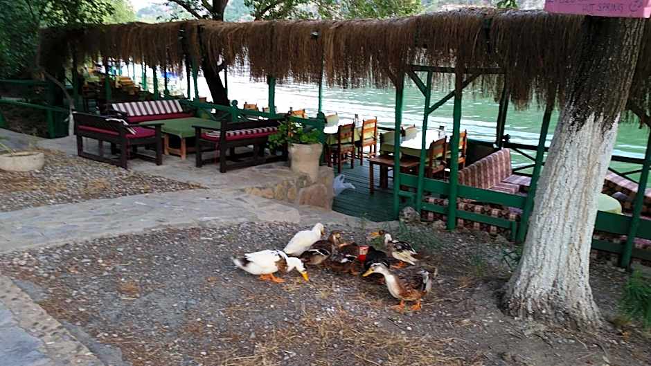 Hotel Riverside