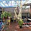 Auberge Internationale Le Tangon