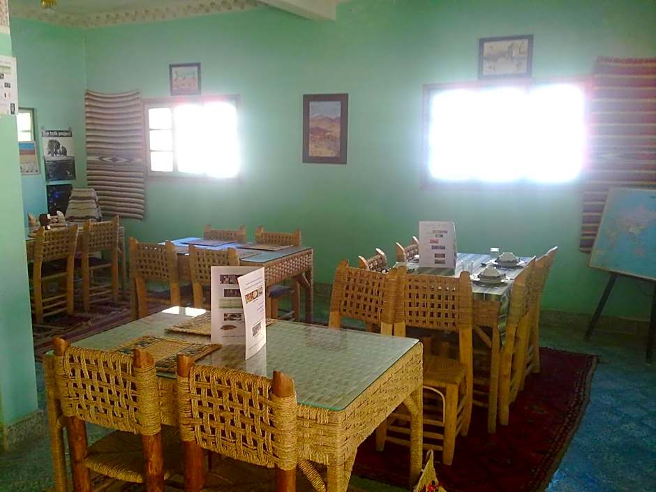 Complexe Collier D' Ambre