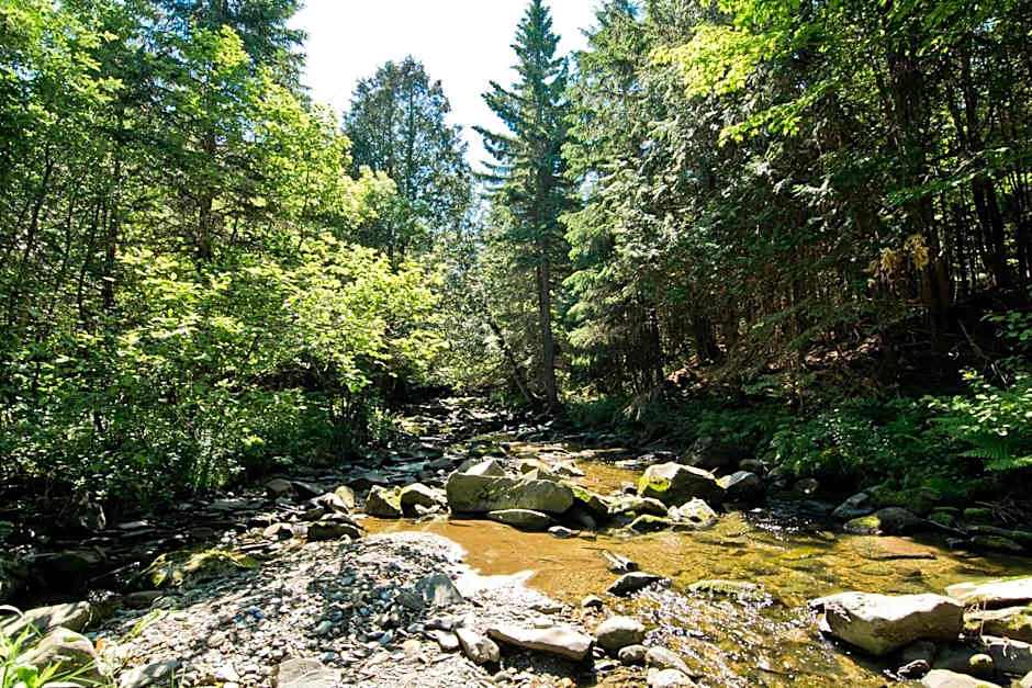 Aux Pignons Rouges Camping & Chalets