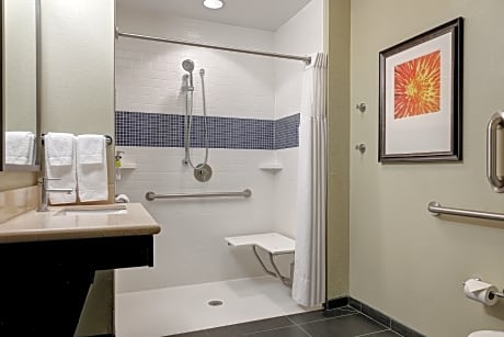 1 Bedroom Suite Communications Accessible Roll Shower