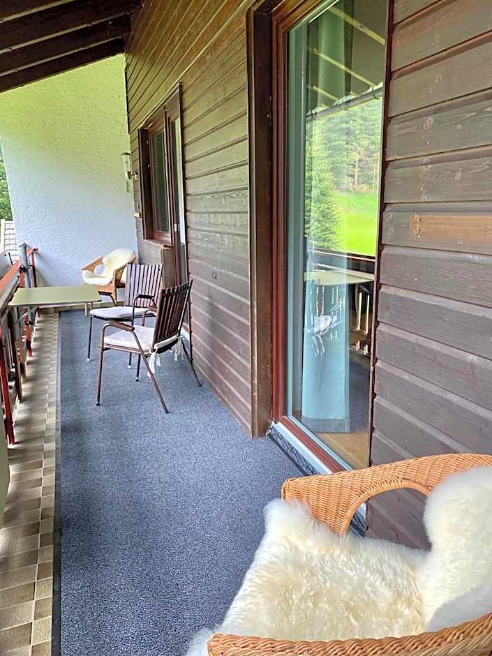 Apartments Hohenberger Mallnitz - Tauernbad und Sauna im Winter inklusive!