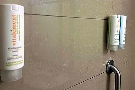 1 King Bed, Nonsmoking