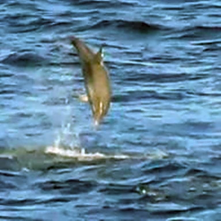 Windhaven Camping and B&B