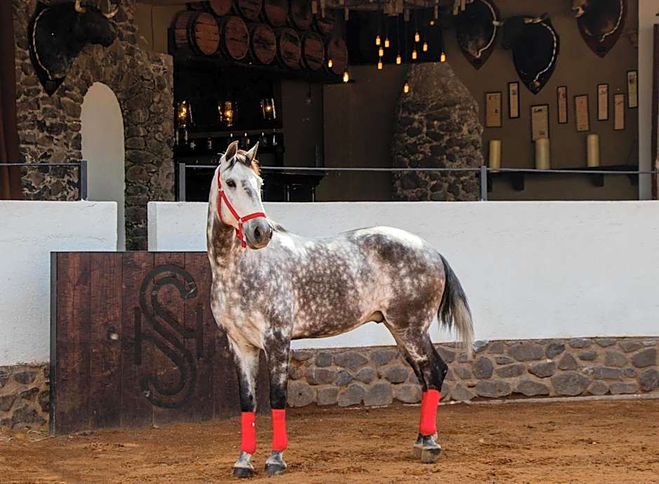 Hacienda El Salitre Hotel & Spa