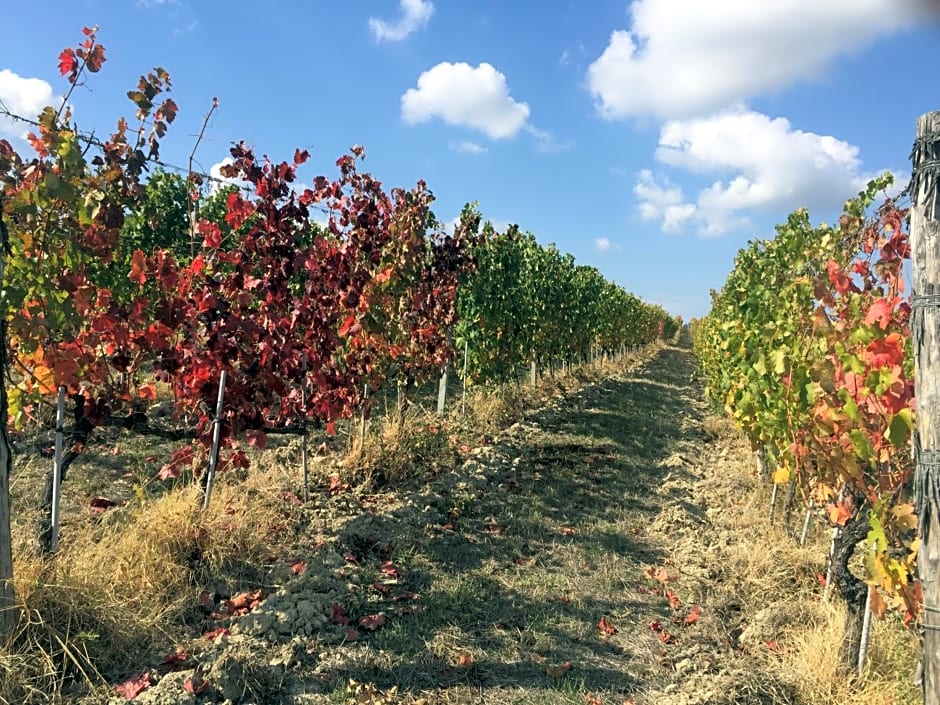 Cascina Valtignosa Camere Con Vigna