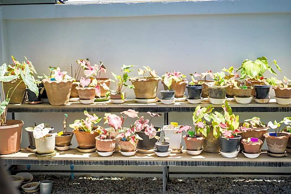 บ้านสุขซอย5