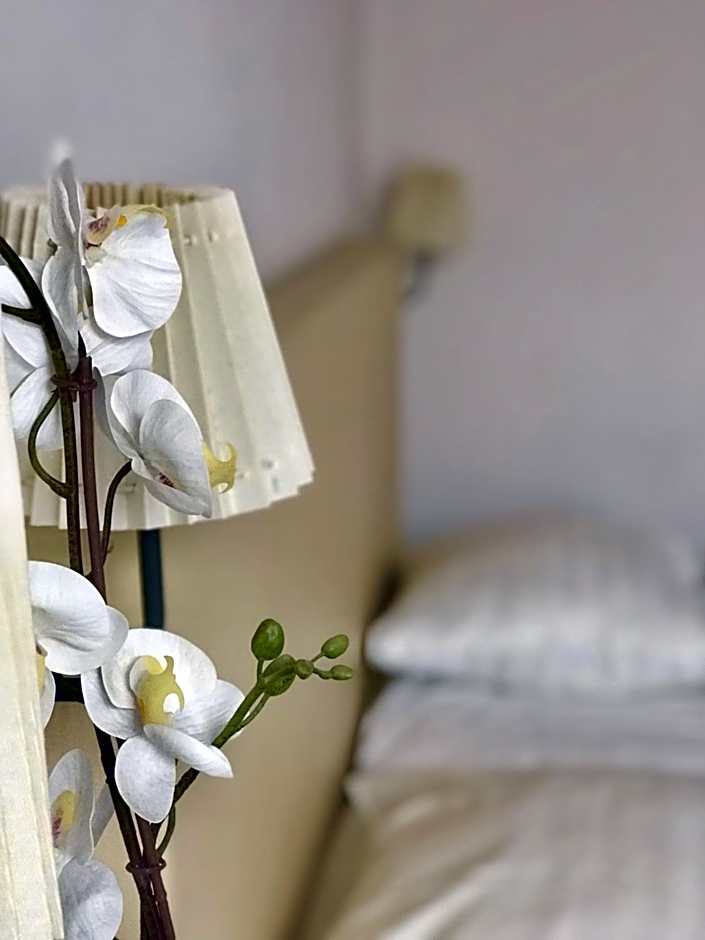 New City Hotel Scheveningen