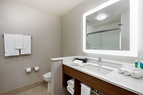 1 King Bed Stndrd Mobil Access Tran Shwr