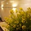 Hotel New Nishino