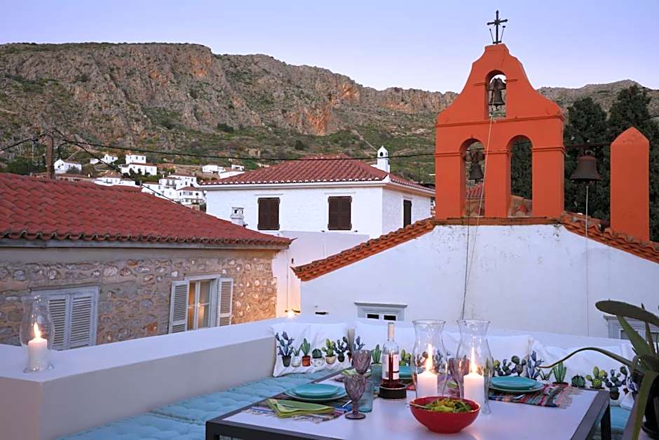 Cactus Hydra - Art Apartments