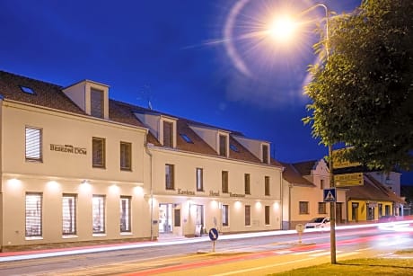 Wine & Wellness hotel Besední dům