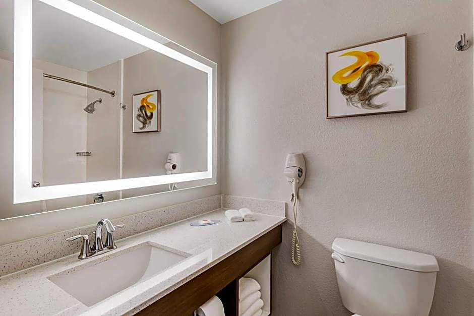 Comfort Inn & Suites Clemson - University Area