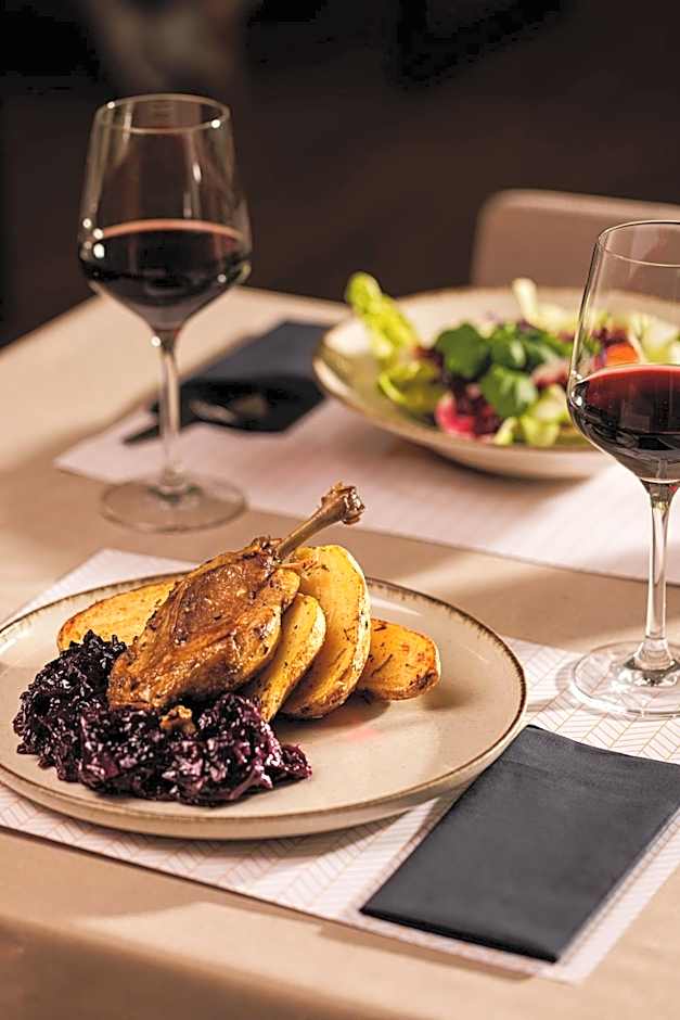 Hotel Faros Gdansk Airport