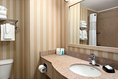 2 Queen Mobility Access Tub Studio Nosmok