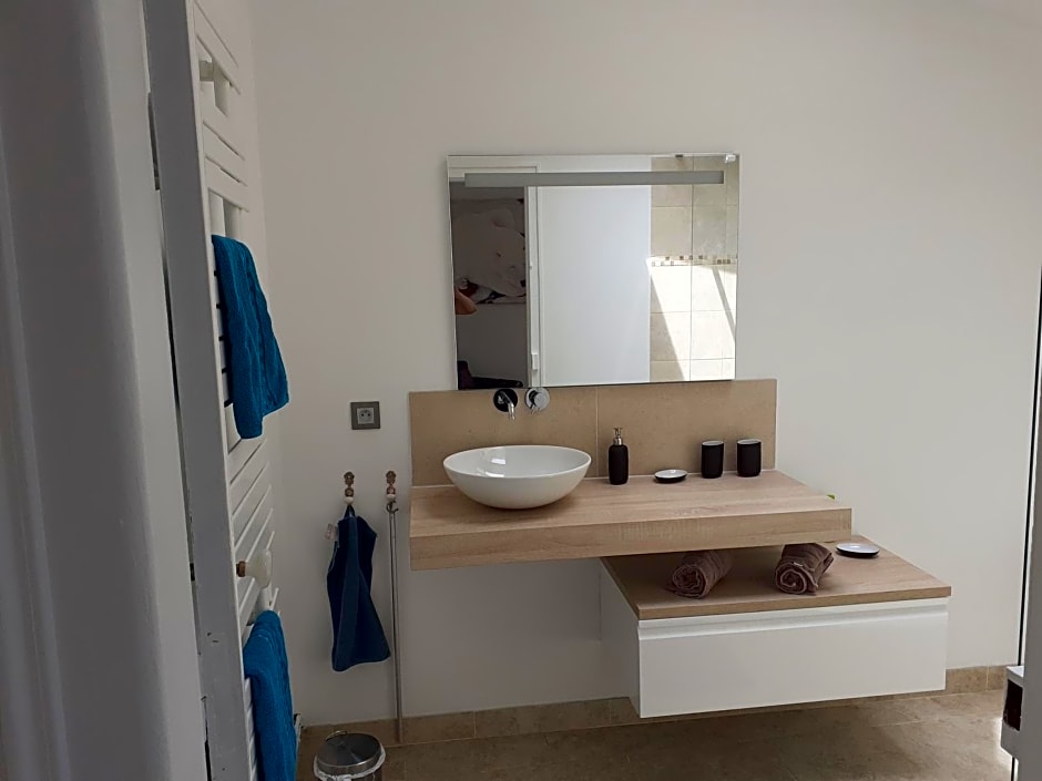 Centre ville, chambre indépendante 20m2 et sa salle de bain privée