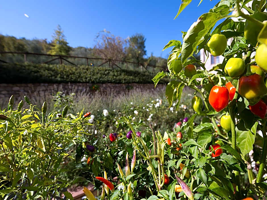 Hotel Le Pozze Di Lecchi