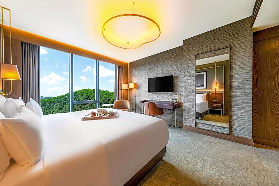 Radisson Collection Hotel, Vadistanbul