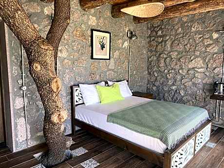 Queen Room with Garden View