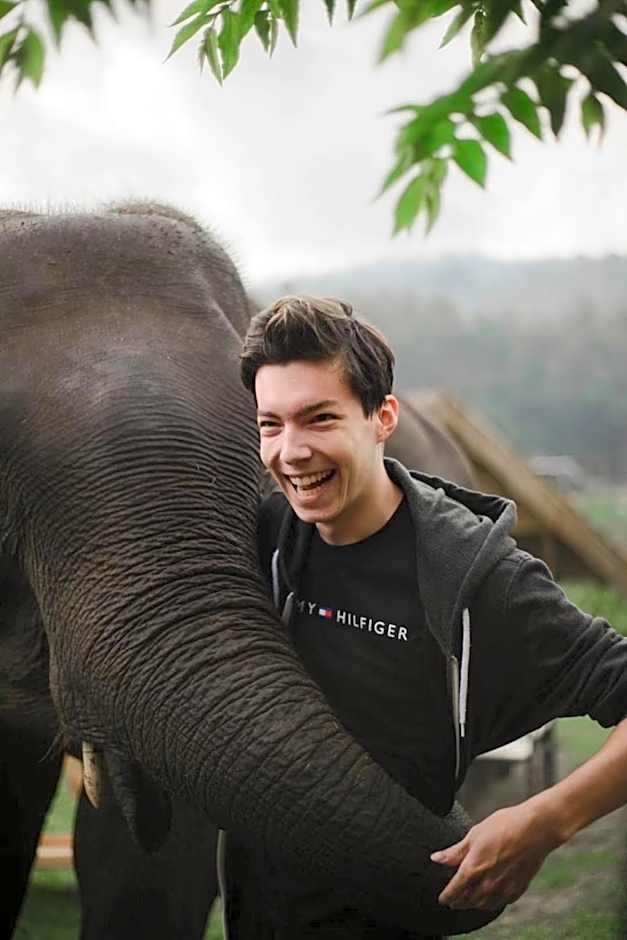 3 Pok Maewang jinxiang Gold elephant park