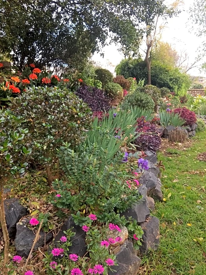 Fleur Bleue & The Timber Frame