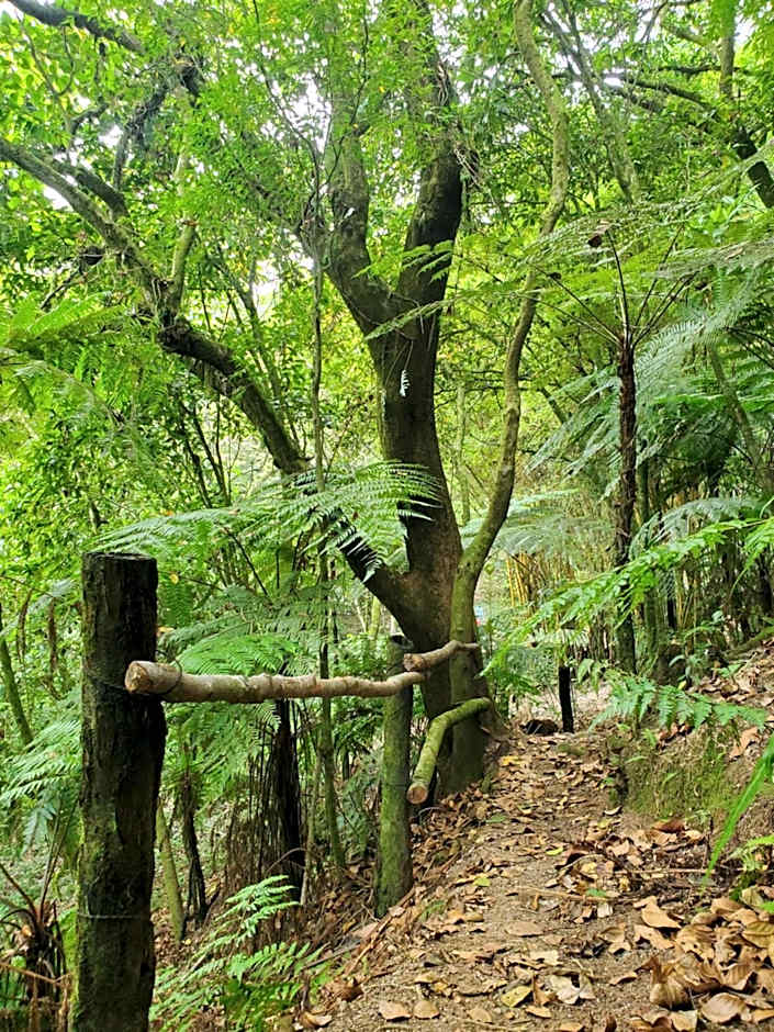 Hospedaje Totalmanik