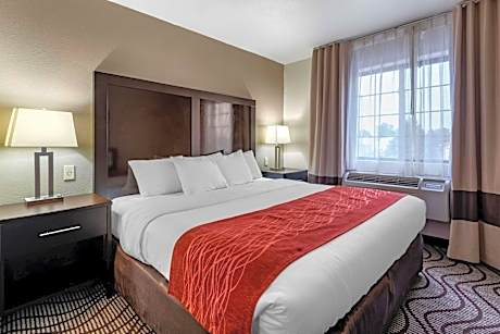 Business King Suite with Sofa Bed - Non-Smoking