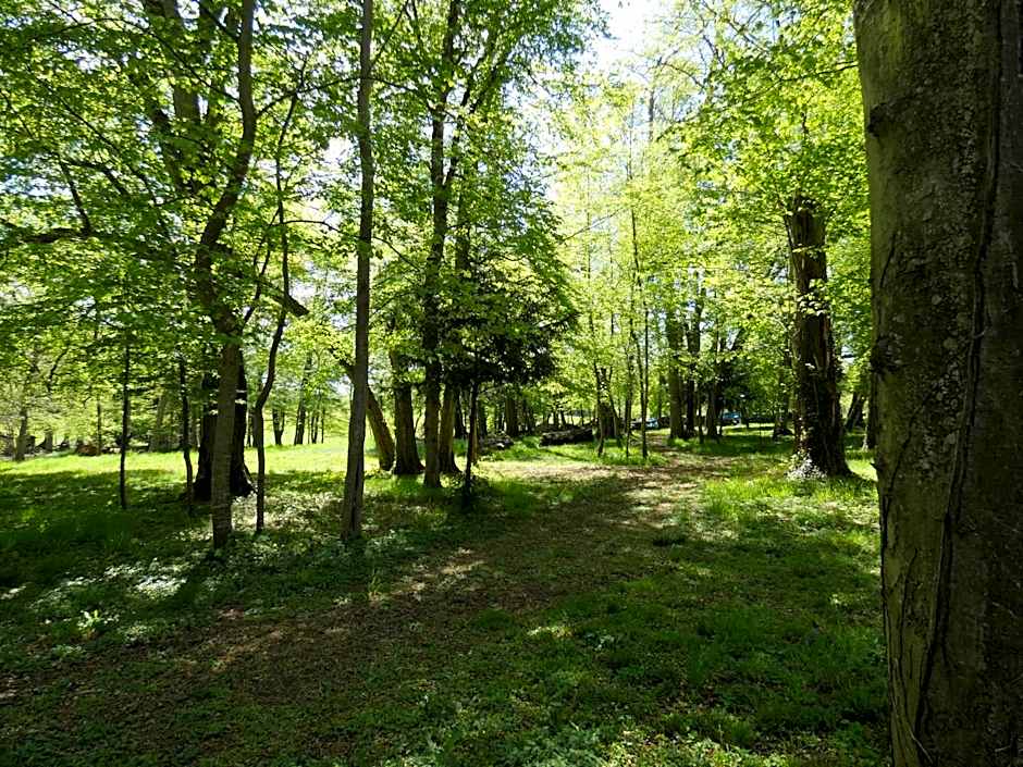 Domaine De Chatenay - Le Mans