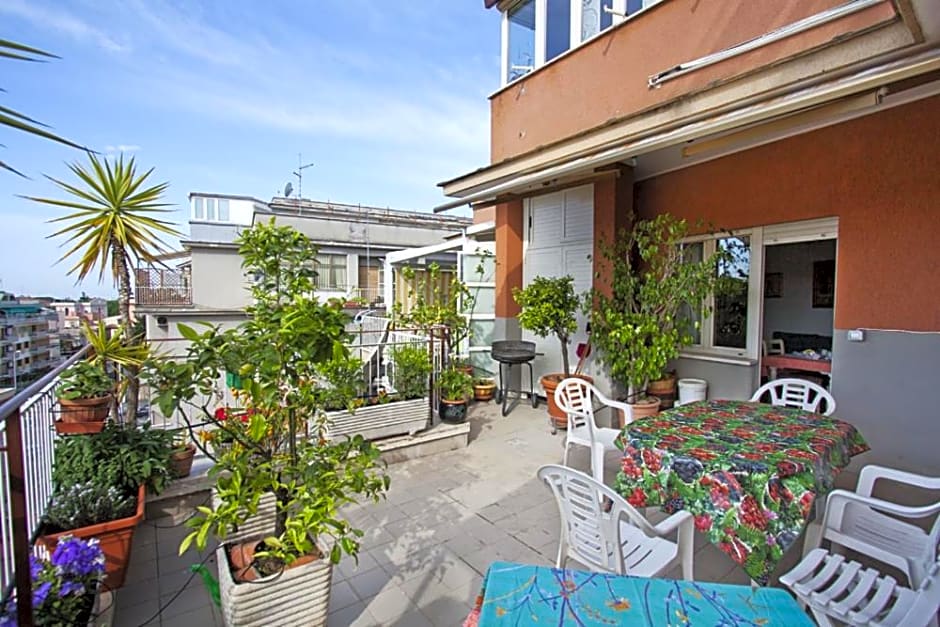 B&B SPLENDIDAE MUNDI