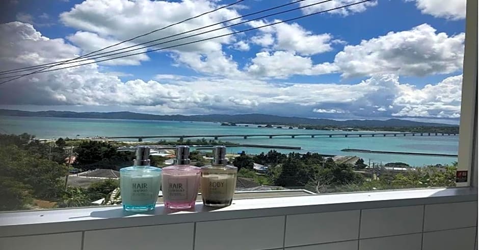 220 Kouri Nakijin-son - Hotel / Vacation STAY 8716